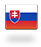 slovak language flag